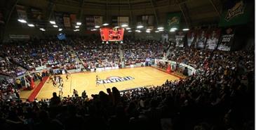 ¡Arranca cuenta regresiva en Zonkeys para Serie Inaugural! ¡Arranca cuenta regresiva en Zonkeys para Serie Inaugural!