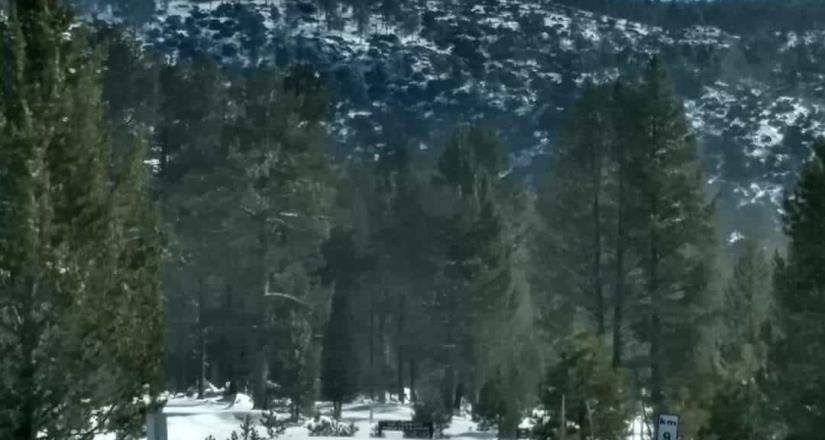 Nevadas acumuladas de hasta 47 cm en San Pedro Mártir