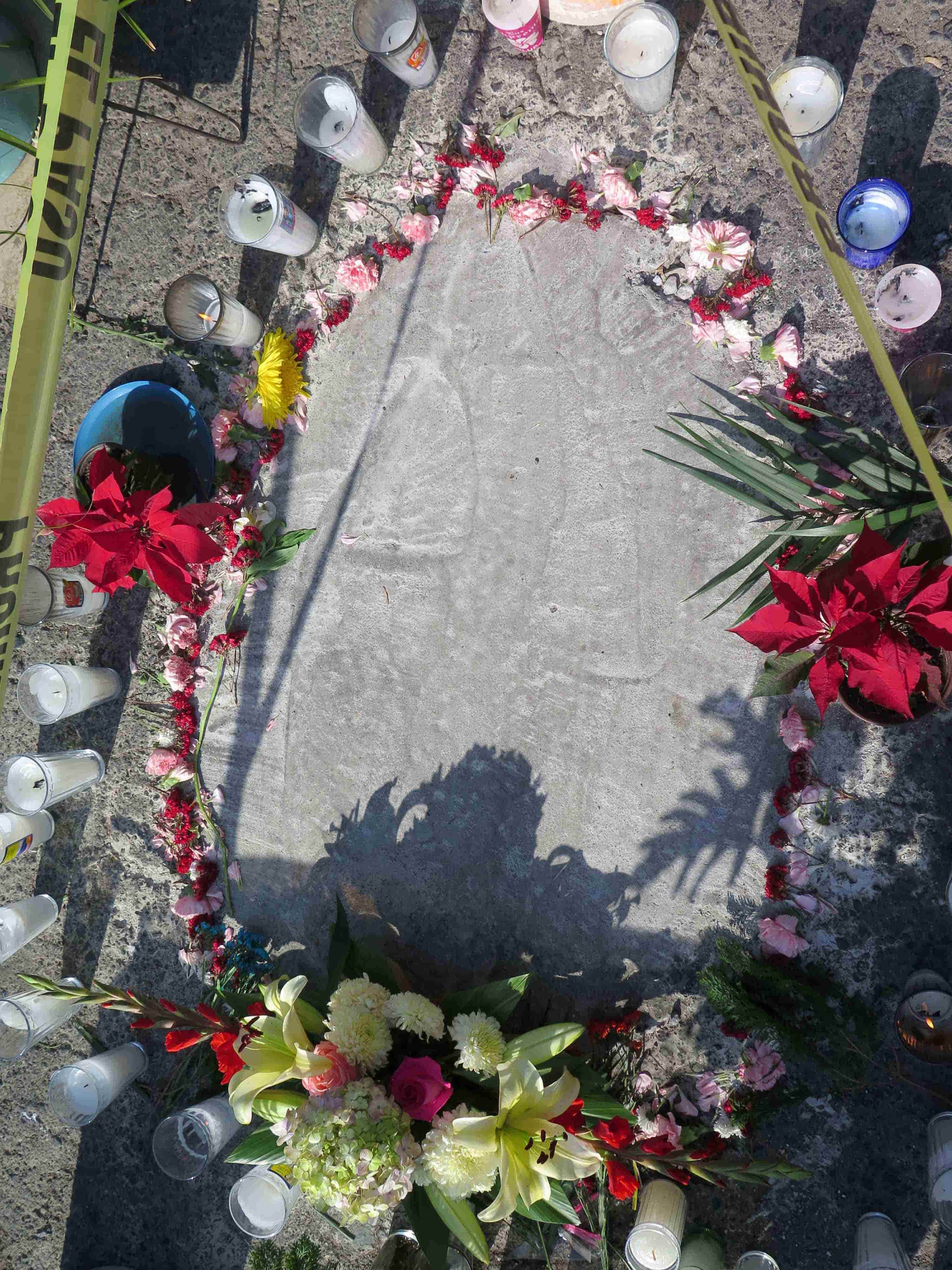 imagen-cuerpo imagen-cuerpo