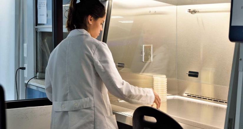 Investigadores de la UAG fortalecen proyecto sobre biofertilizantes Investigadores de la UAG fortalecen proyecto sobre biofertilizantes