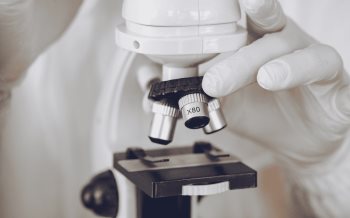 ¿Con qué síntomas se manifiesta el virus Nipah?