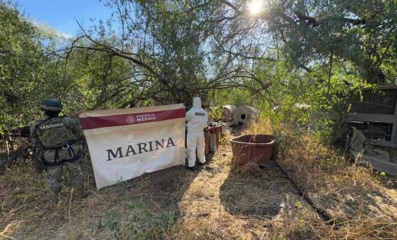 Localizan e inhabilitan bodega y laboratorio clandestino, en el municipio de Álamos, Sonora