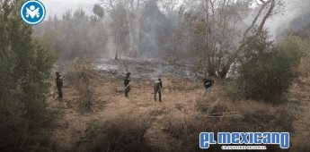 Controlado al 50% incendio forestal; afecta 8,500 hectáreas: CAM