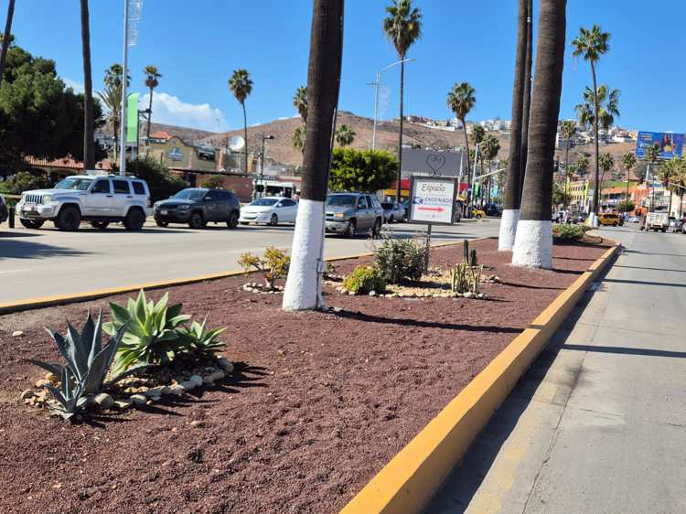 imagen-cuerpo imagen-cuerpo