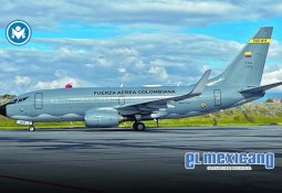 Encuentran restos de pato en los dos motores del avión de Jeju Air que se estrelló y dejó 179 muertos