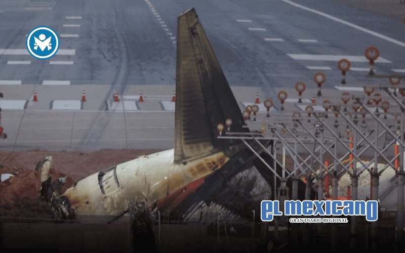 Encuentran restos de pato en los dos motores del avión de Jeju Air que se estrelló y dejó 179 muertos