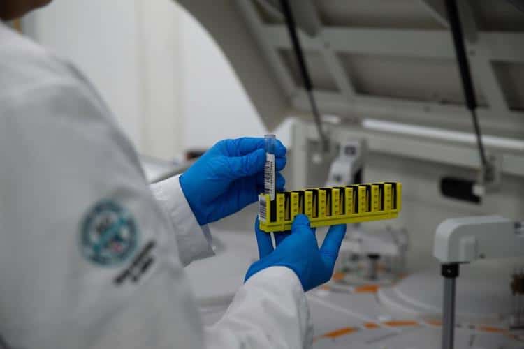 imagen-cuerpo imagen-cuerpo