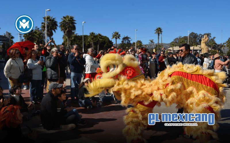 Festival del Año Nuevo Chino presenta más de 60 actividades gratuitas en el estado Festival del Año Nuevo Chino presenta más de 60 actividades gratuitas en el estado