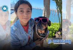 Analizan digitalizar los tarjetones azules que tramita el DIF Municipal