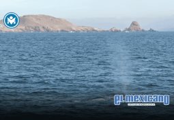 Analizan digitalizar los tarjetones azules que tramita el DIF Municipal