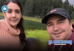 Delfín muere tras caer fuera de una piscina en Playa del Cármen