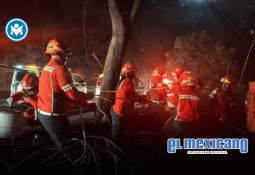 Aphrodite: El cóctel más romántico para brindar en San Valentín