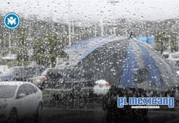 Marina del Pilar destaca la asistencia de más de 29 mil personas a las celebraciones del Año Nuevo Chino en Baja California.