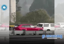 Ana Guevara reporta sueldo mayor al de AMLO