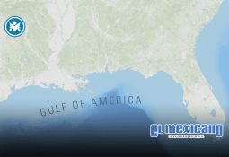 Padre e hijo fueron tragados por una ballena en el estrecho de Magallanes
