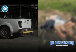 Inicia SADER Jalisco la reconversio´n de cultivos para apoyar a productores de agave