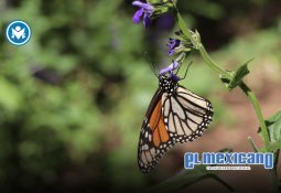 Preparan gran torneo femenil de pesca deportiva "Reinas del Mar" en San Quintín