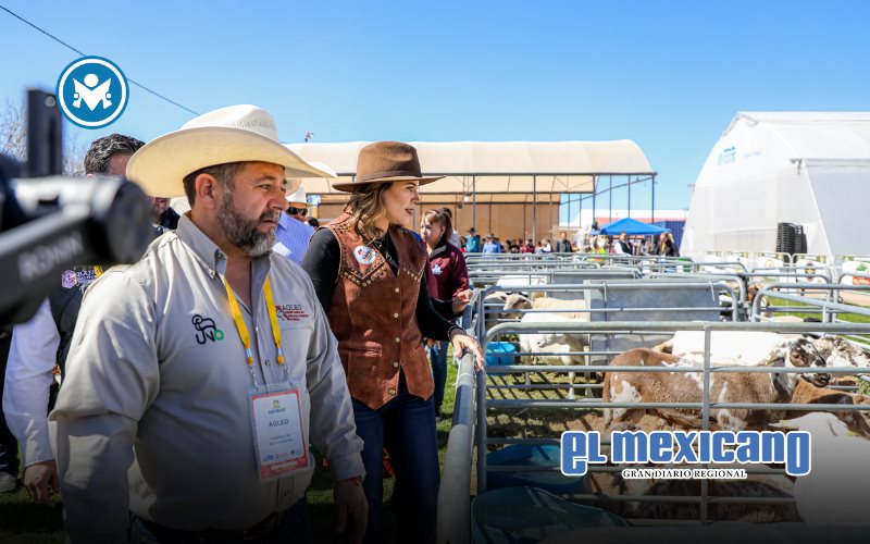 Marina del Pilar invita a revalidar gratuitamente patentes de ganadería y comercio