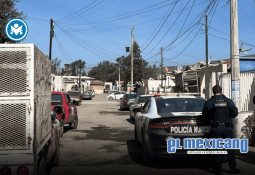 Promueven en Tijuana estreno de pel&iacute;cula Que huevos, Sofia