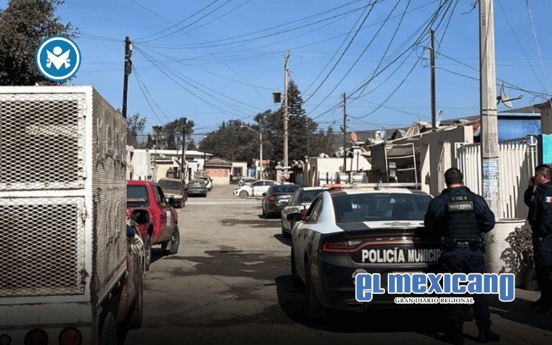 Capturan perros en Villas del Real para evitar riesgos a la ciudadan&iacute;a