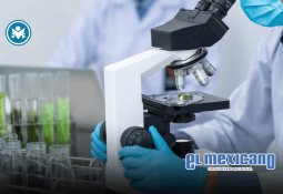 Giselle Anahí, conductora de televisión fue detenida por las autoridades