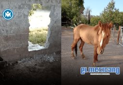 Hoy, una de cada 36 personas es autista: 5 mitos que impiden a las empresas aprovechar este talento clave