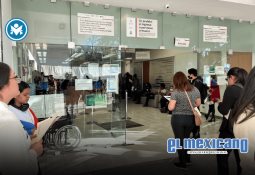 En marzo comienza distribución de la Compra Consolidada de Medicamentos 2025-2026: Sheinbaum