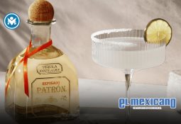 Desarrollan innovador tratamiento contra el cáncer cerebral