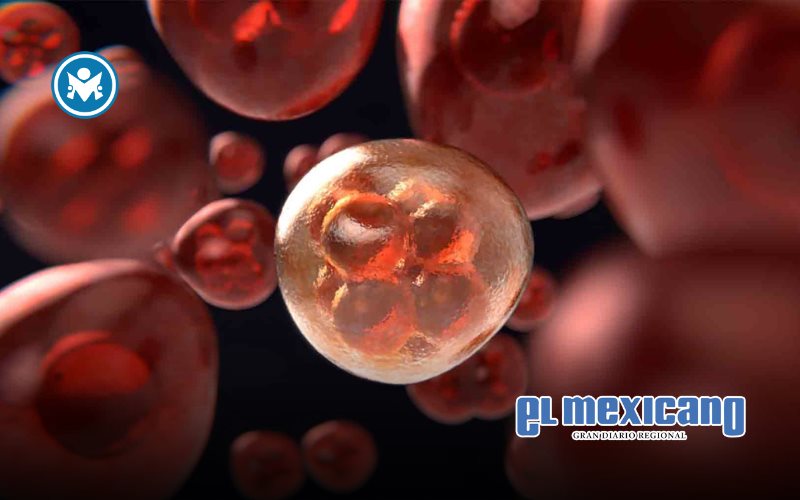 Desarrollan innovador tratamiento contra el cáncer cerebral