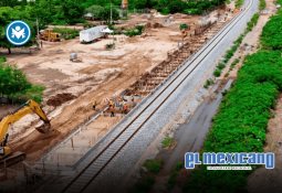 Encuesta revela que solo el 3.8% de las personas dimensiona la gravedad de los siniestros viales en México