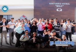 Propietarios de predios bald&iacute;os podr&aacute;n obtener hasta 50% de descuento en el impuesto predial