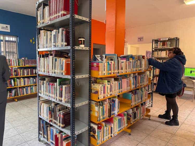 imagen-cuerpo imagen-cuerpo