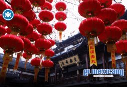 Día del Implante Coclear