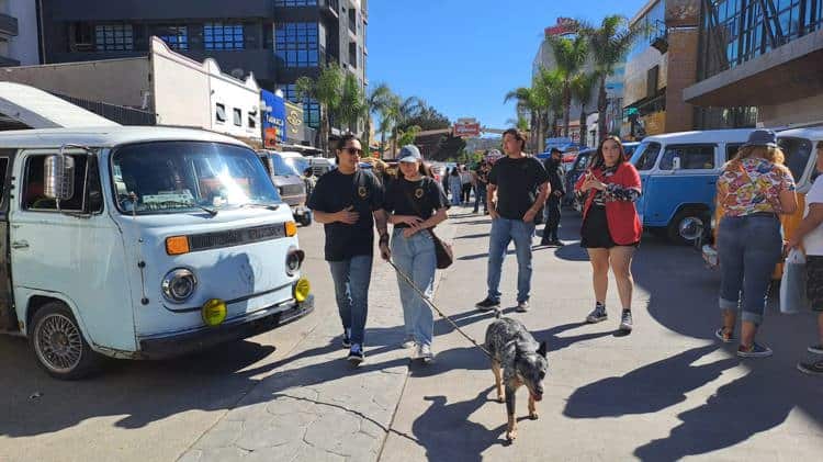 imagen-cuerpo imagen-cuerpo