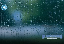 Aprueba Cabildo convenio para Programa de Vivienda para el Bienestar en Ensenada Aprueba Cabildo convenio para Programa de Vivienda para el Bienestar en Ensenada