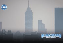 Comer bien nunca fue tan confuso. ¿A quién creerle?