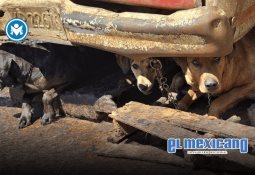 Omar García Harfuch confirma detención de Don Rodo, hermano de El Mencho