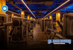 Votan senadores del PAN en contra de reforma a leyes secundarias en materia de transparencia Votan senadores del PAN en contra de reforma a leyes secundarias en materia de transparencia