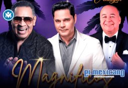 Anora, ganadora de los Oscars 2025 como Mejor Pel&iacute;cula