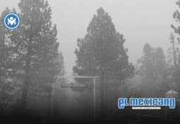 Usuarios deberán de renovar sus licencias permanentes