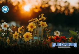 Ciudad de México reconocerá a personas no binarias