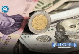 Desmantelan laboratorio de metanfetamina y aseguran 100 kg de droga en Tierra Caliente