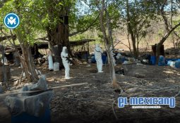 Miércoles de Ceniza, conoce el significado y su origen