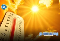 Recolector halla a bebé en bolsa de basura en Tultitlán; detienen a una menor Recolector halla a bebé en bolsa de basura en Tultitlán; detienen a una menor