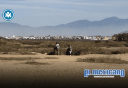Daniela Gallois y Benjam&iacute;n Serrano: 1974 a 2003, un legado art&iacute;stico en Tijuana