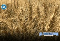 Crisis Migratorias: el reto de la transparencia y la comunicación Crisis Migratorias: el reto de la transparencia y la comunicación