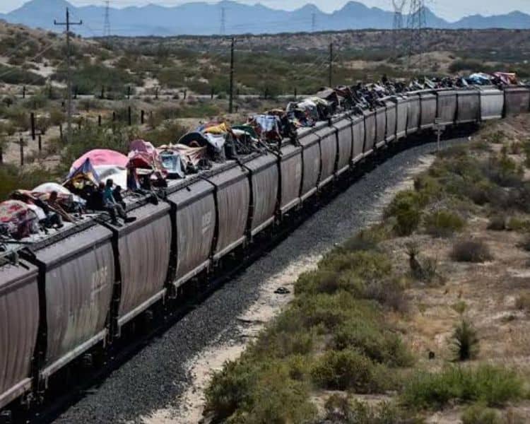 imagen-cuerpo imagen-cuerpo