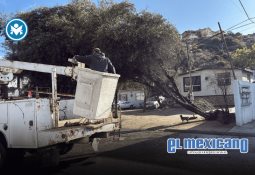 OBC convoca a violinistas de Baja California