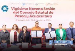 Protección Civil de Baja California alerta sobre aumento de temperaturas este fin de semana