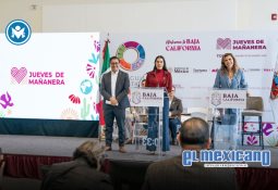 Exhortan contadores a otorgar prórrogas ante constantes fallas en el portal del SAT